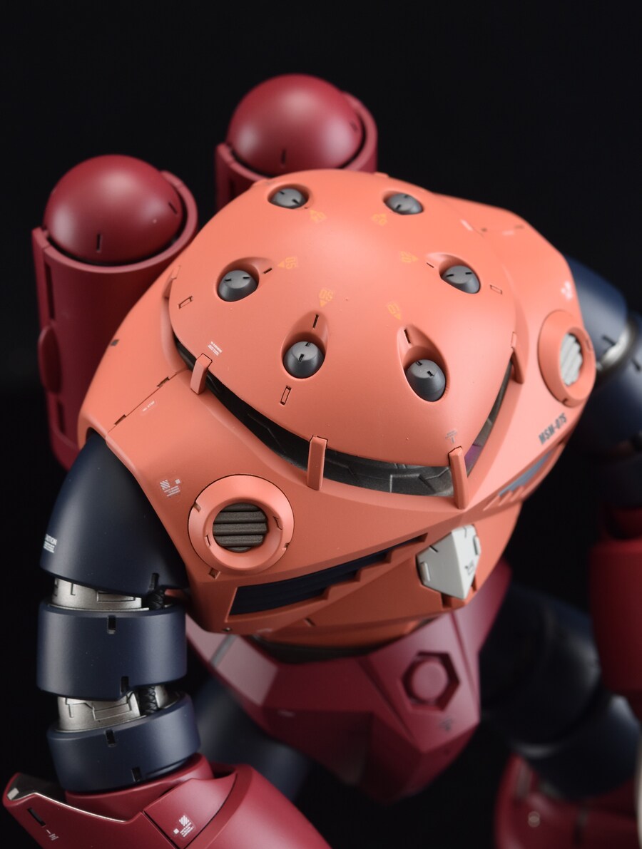 [MG] 샤아 즈고크 MSM-07S Z'Gok (Char's custom)_12.jpg