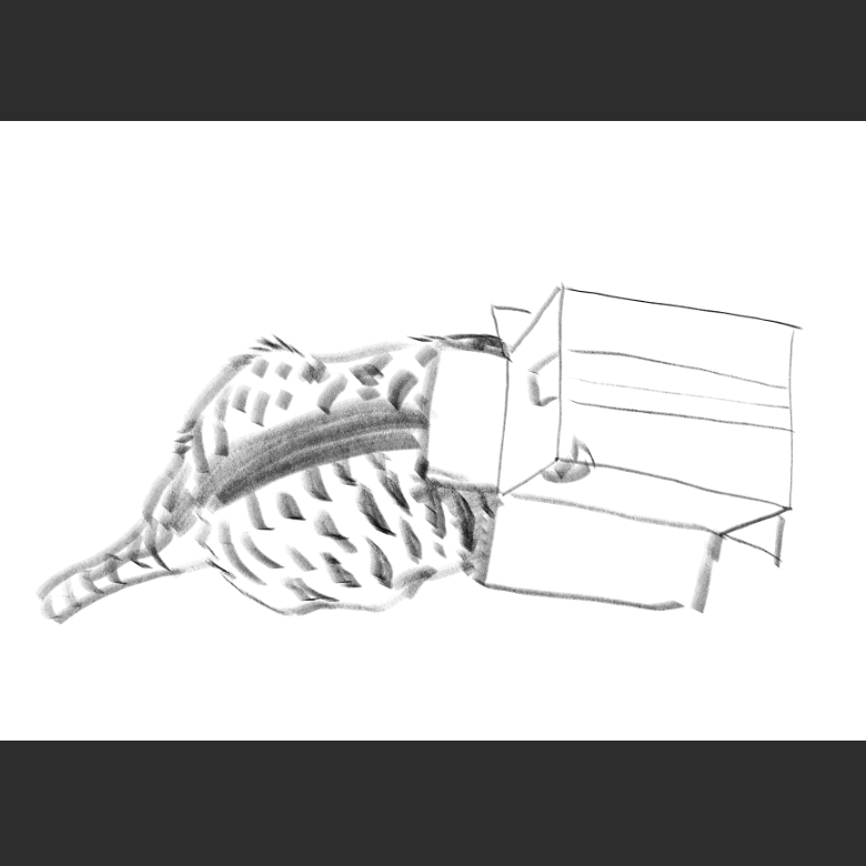 우리집 고양이그림 보고가셈_5.png