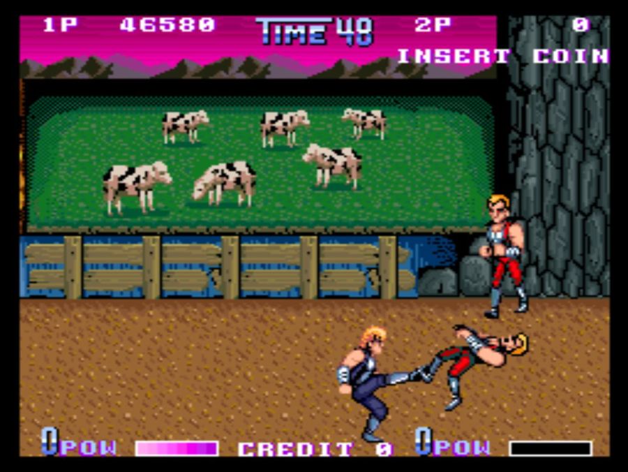 DOUBLE DRAGON 2 THE REVENGE_33.jpg