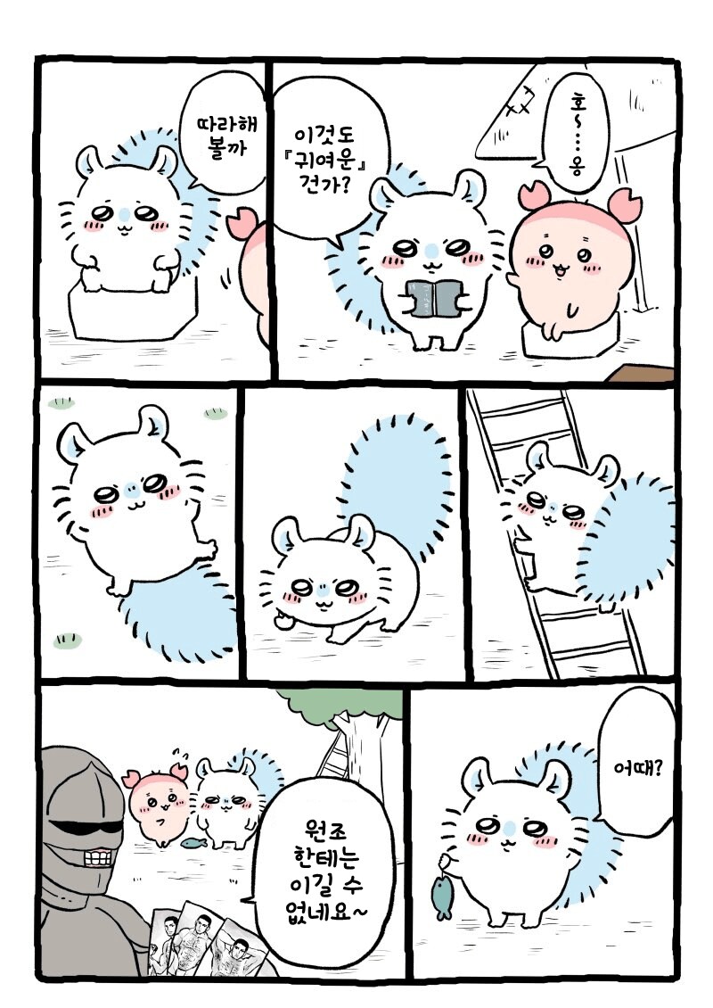 치이카와) 골든카무이를 읽은 모몽가_1.png