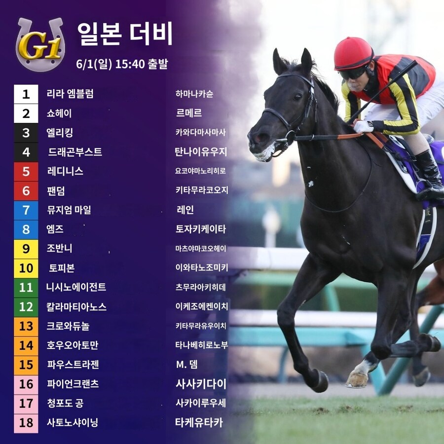 말딸,경마) 2025년 일본더비 마지막 직선_1.jpg