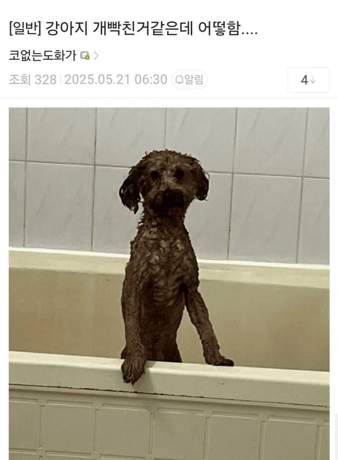 ADHD갤 레전드_1.jpg