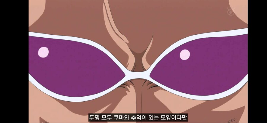[원피스] 흔한 과거를 알면 의미가 다르게 보이는 장면_13.jpg