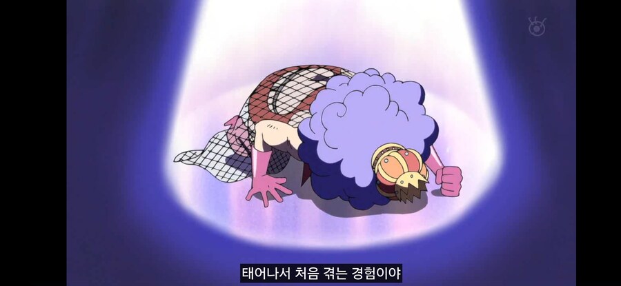 [원피스] 흔한 과거를 알면 의미가 다르게 보이는 장면_25.jpg