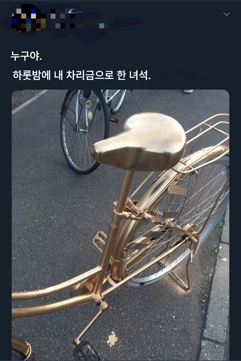 일본도 자전거 테러 있음_1.png