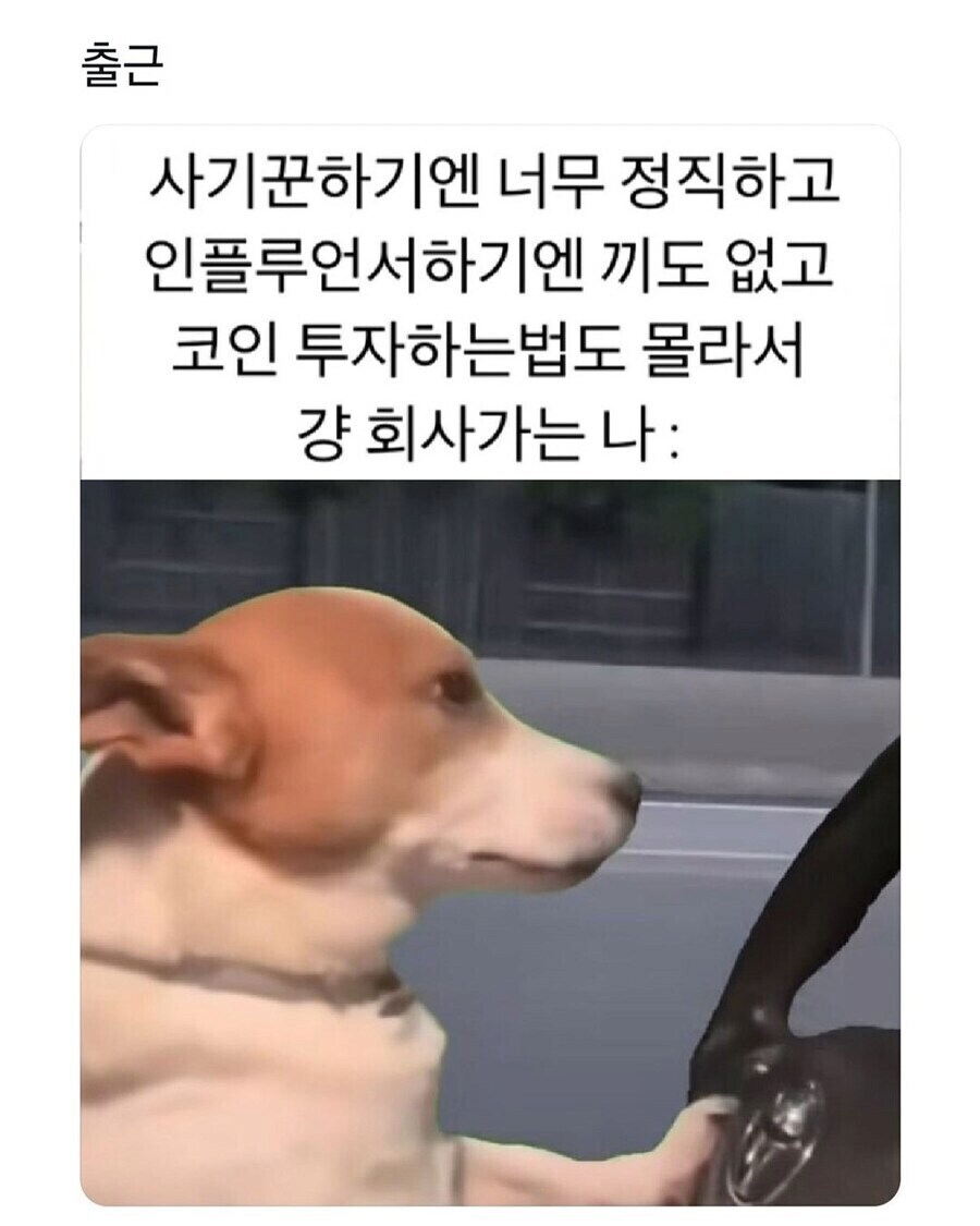 대부분의 직장인들이 출근하는 이유jpg
