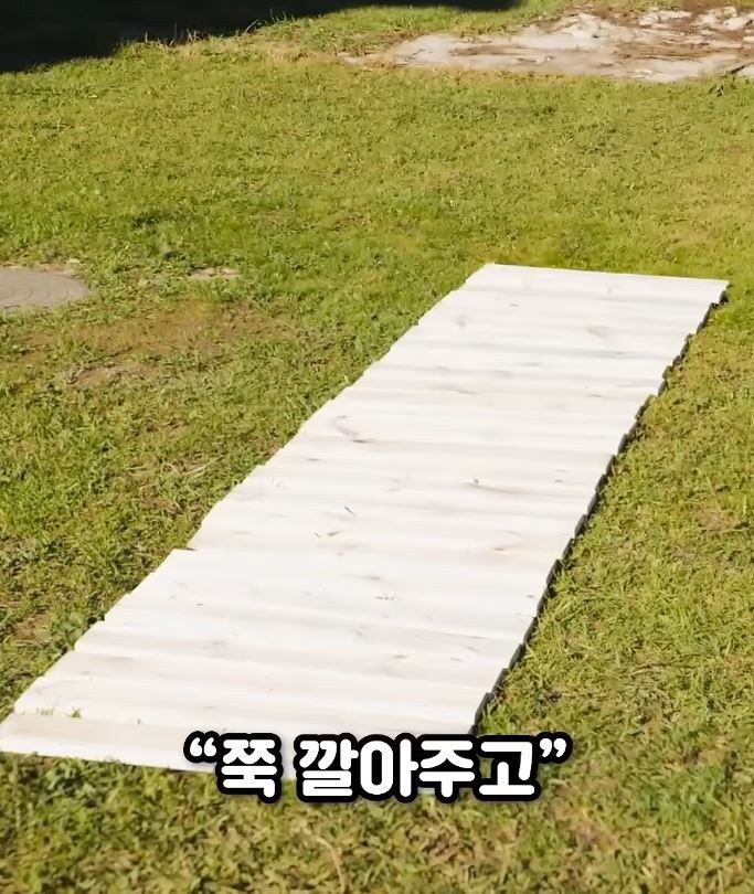 요즘 쇼츠 렉카들 개빡치는 거 jpg._16.jpg