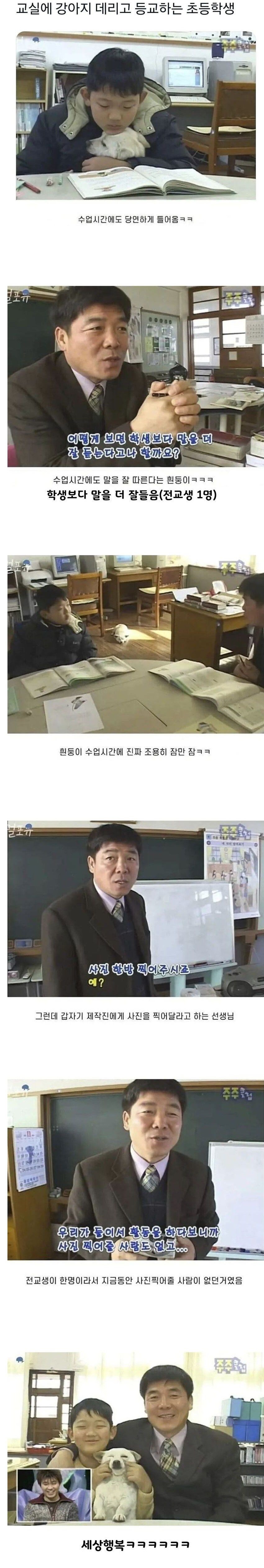 교실에서 강아지 대리고 등교하는 학생_1.jpg