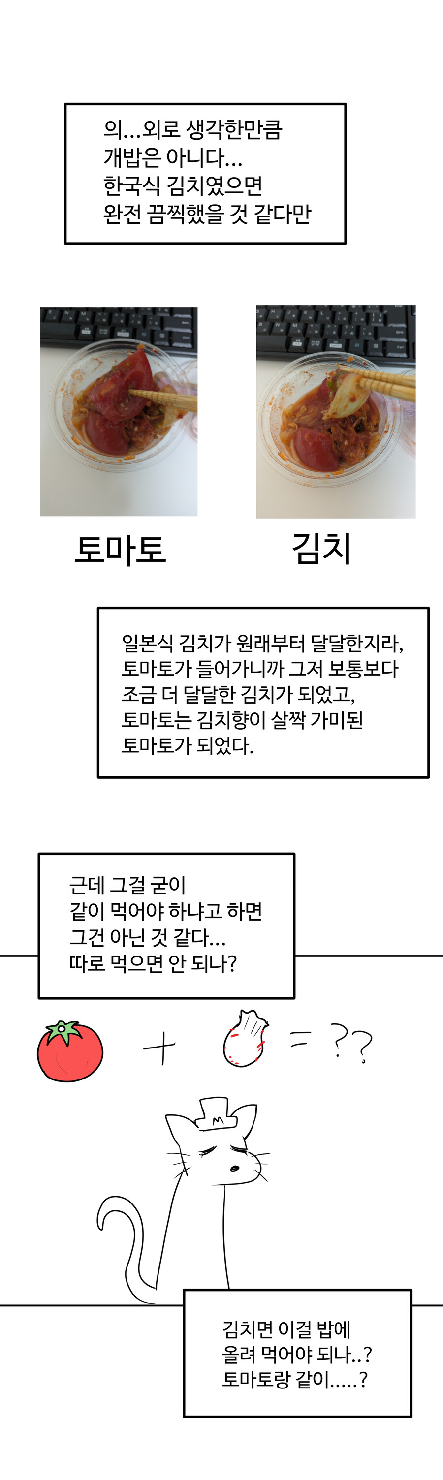 토마토 김치 리뷰_4.jpg