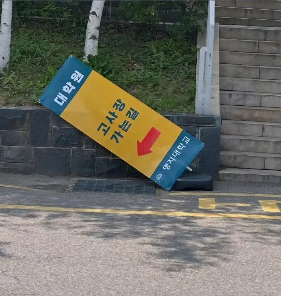 대학원 고사장 가는 길.jpg