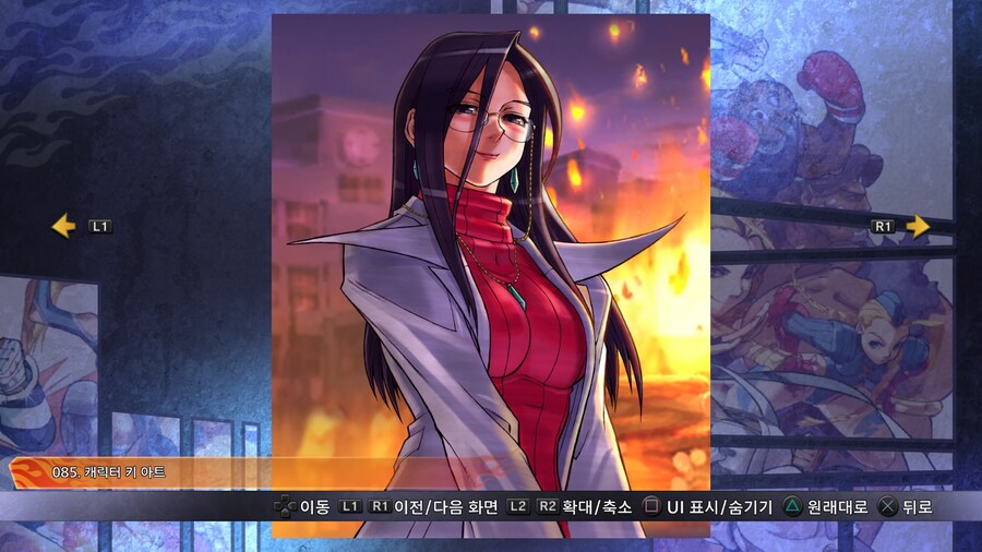 캡콤 파이팅 컬렉션2_3.jpg