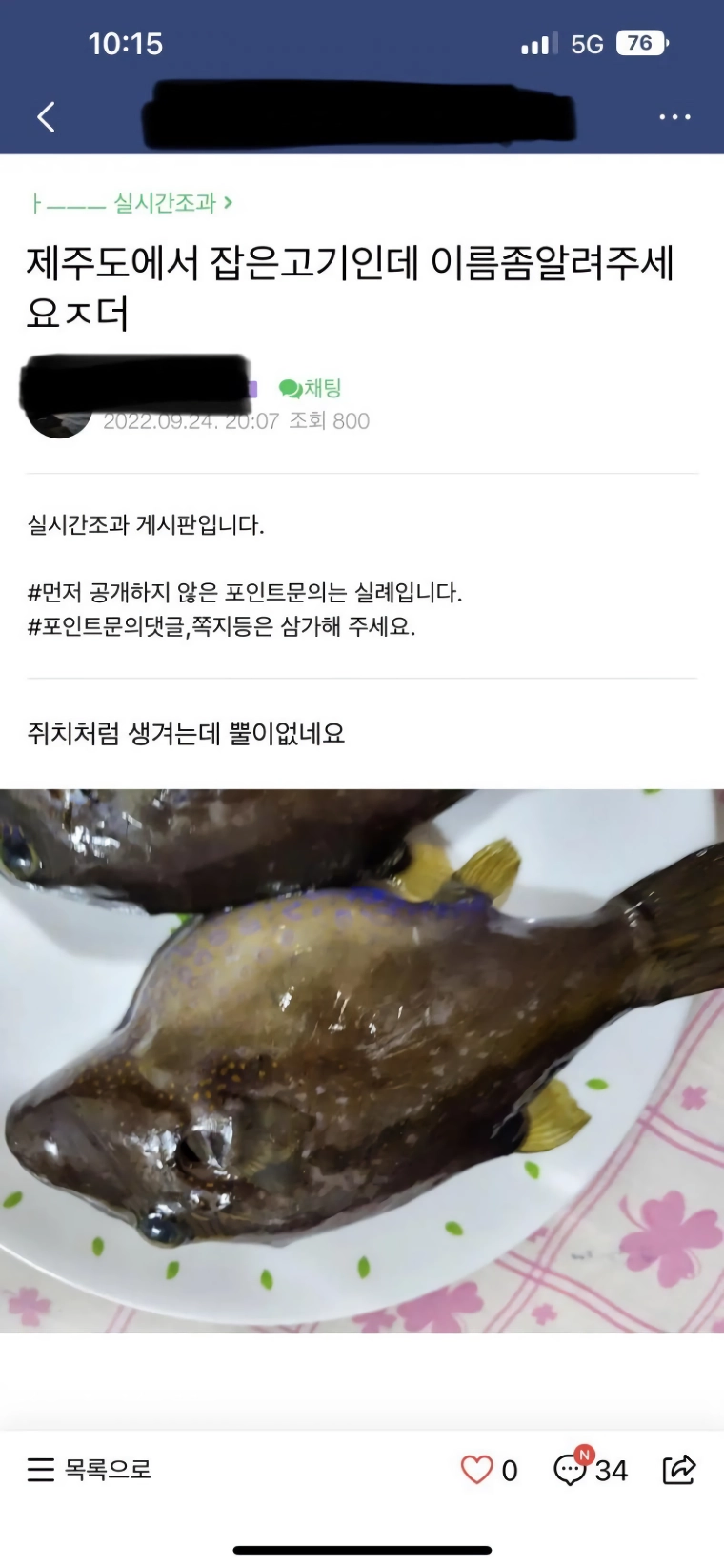 낚린이가 잡은 생선때문에 난리 난 낚시카페.jpg