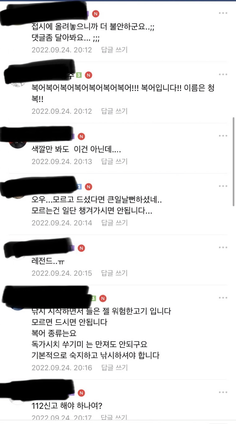 낚린이가 잡은 생선때문에 난리 난 낚시카페.jpg_3.webp