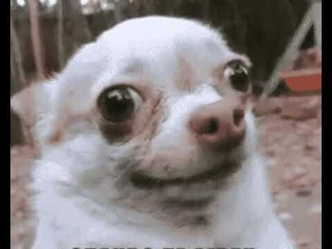 해병대 미화도 빤스런 이후로는 다 말아먹은듯_1.jpg