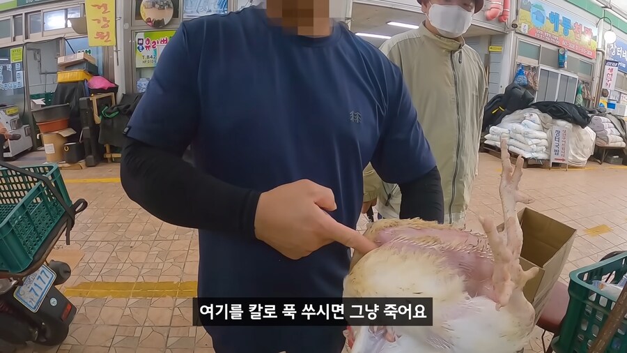 약혐) 무인도에 살아있는 닭 가져가기_7.png