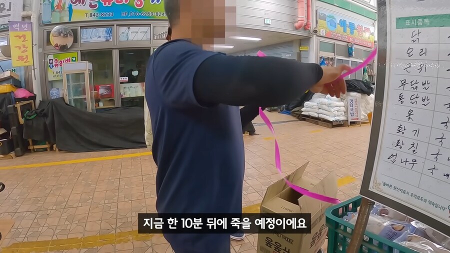 약혐) 무인도에 살아있는 닭 가져가기_10.png