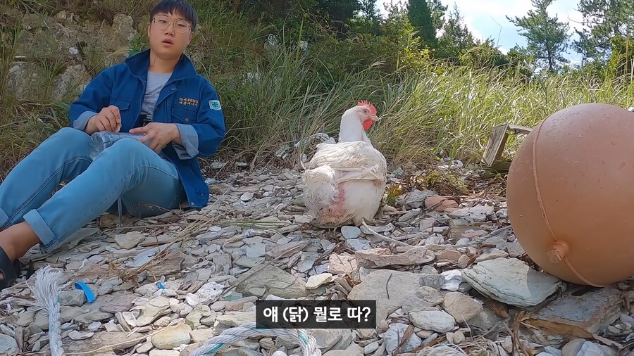 약혐) 무인도에 살아있는 닭 가져가기_13.png