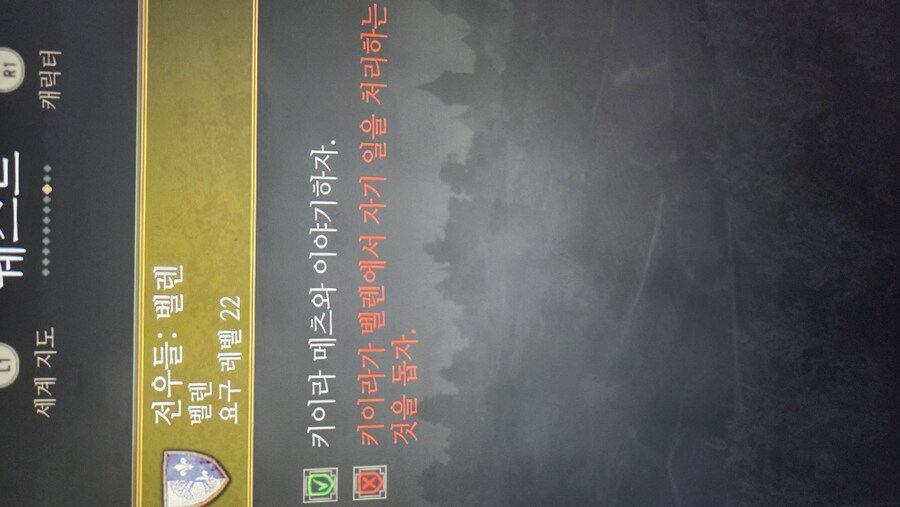 전우들 벨렌 실패되도 되나요?_1.jpg