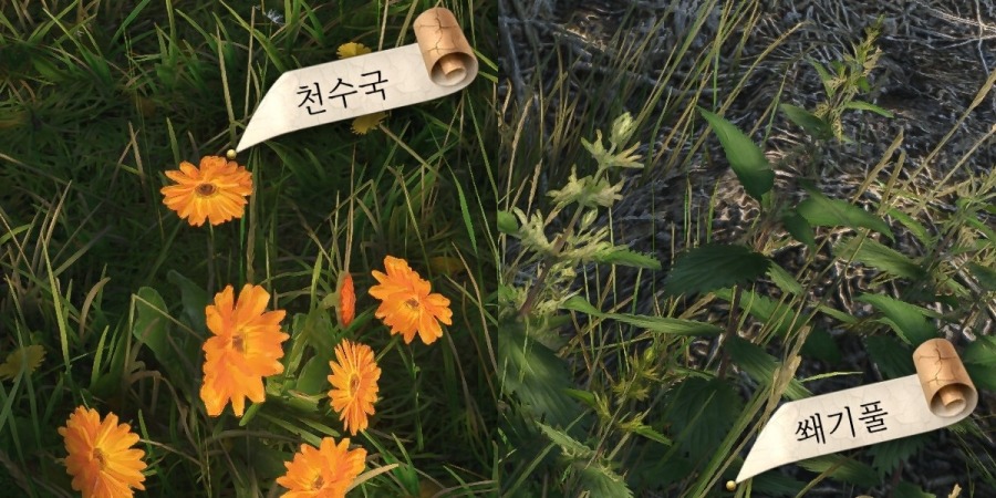 처음 시작하거나 막힌 분들을 위한 초반 루트 안내(스압)_2.jpg