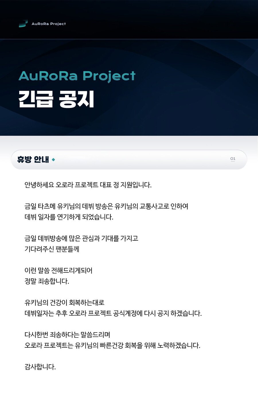 요번 어머니 백혈병 걸렸던 버튜버의 행적_1.png