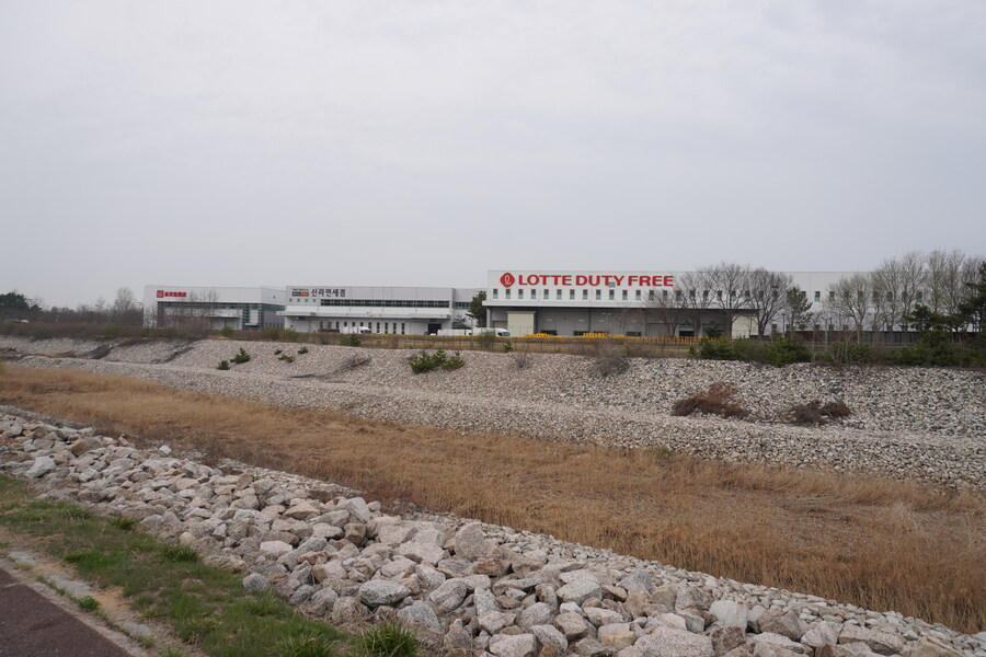 4월, 두번째 영종도 탐조_16.jpg