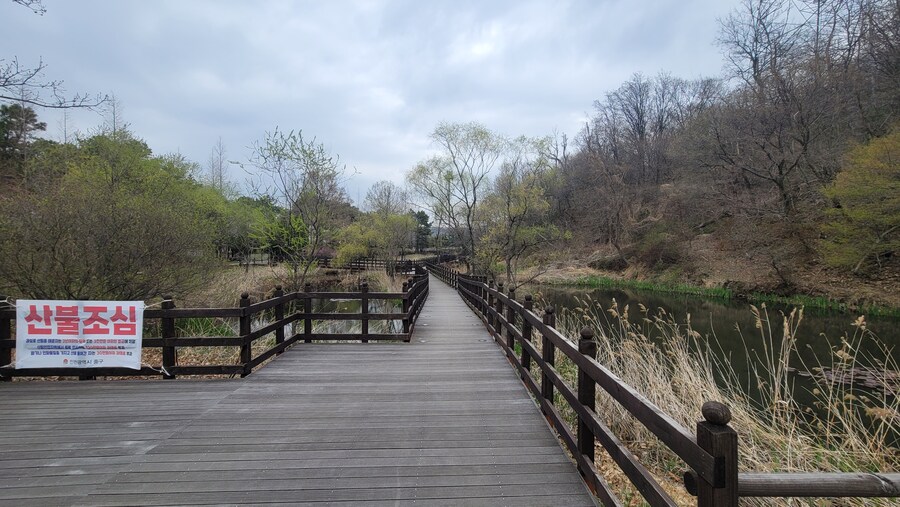 4월, 두번째 영종도 탐조_34.jpg