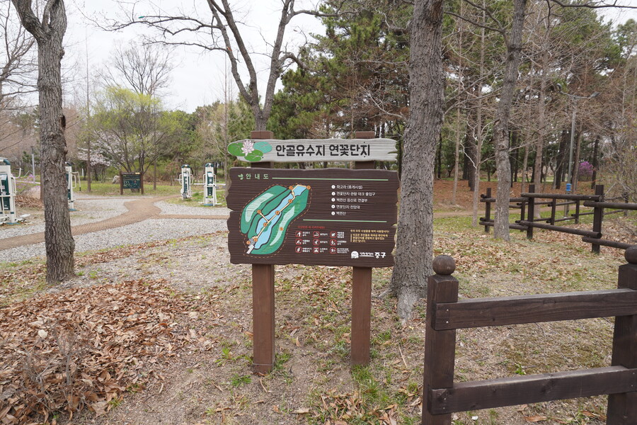 4월, 두번째 영종도 탐조_35.jpg