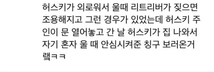 멍 너 였구나 친구_4.jpg