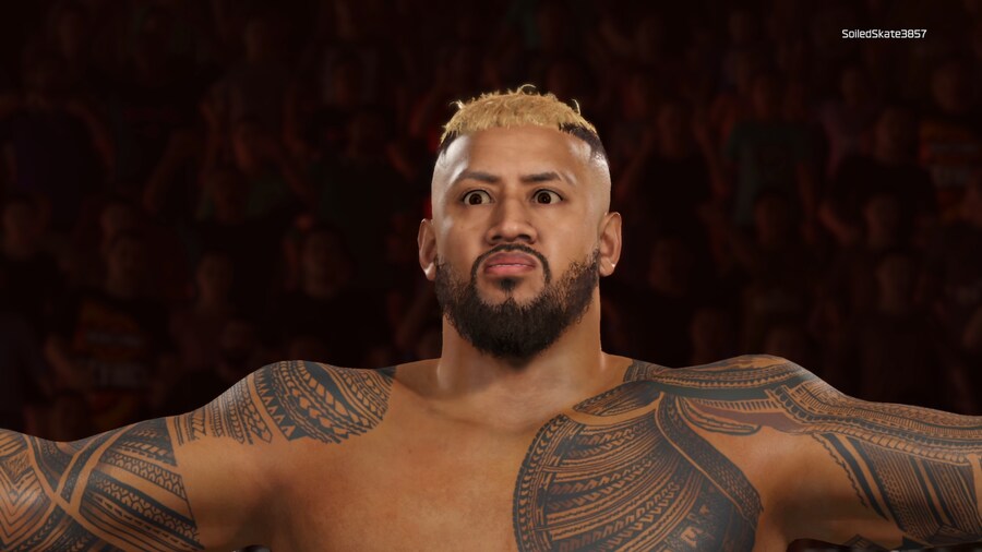 WWE 2K25 Money in the Bank MEN'S LADDER MATCH_5.png