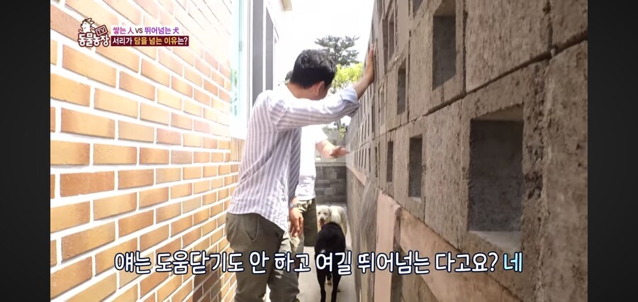 애들 체력 뺀다고 뛰어놀게 하지 말아야 하는 이유_5.jpg