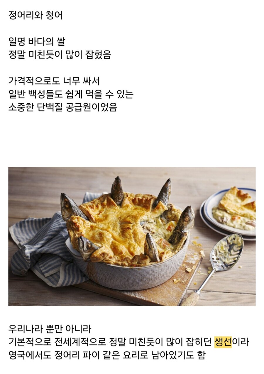 6070년대까지만 해도 한국인의 주식이었던 생선_4.jpg