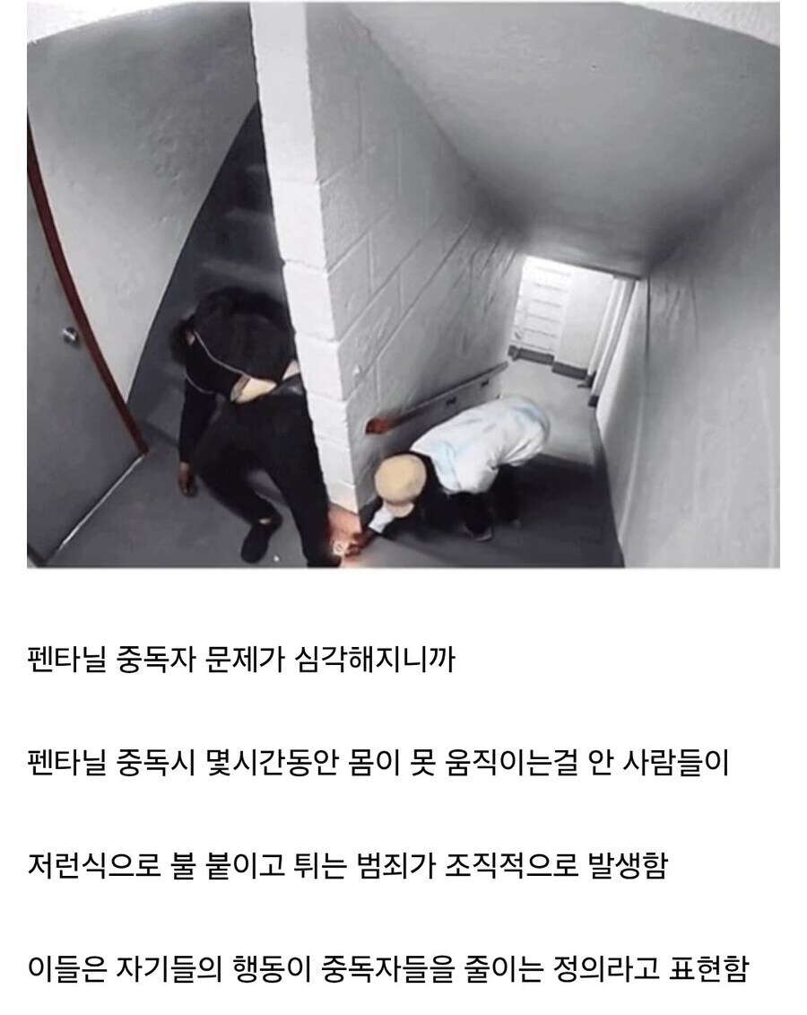 베글에 올라온 펜타닐 자경단은 커뮤식 구라임_1.jpg