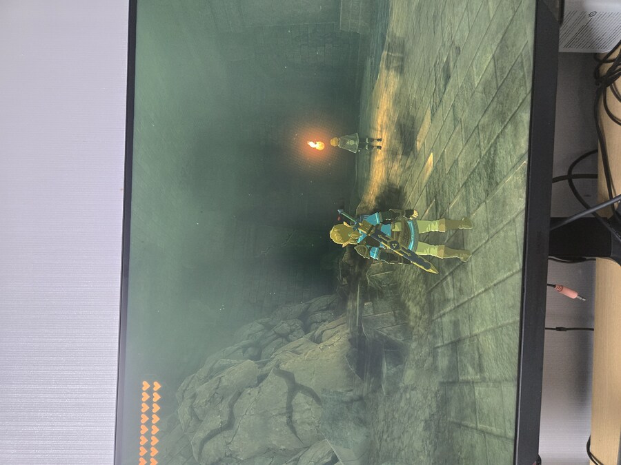 젤다 시작했습니다. 열심히 즐겨보겠습니다._1.jpg