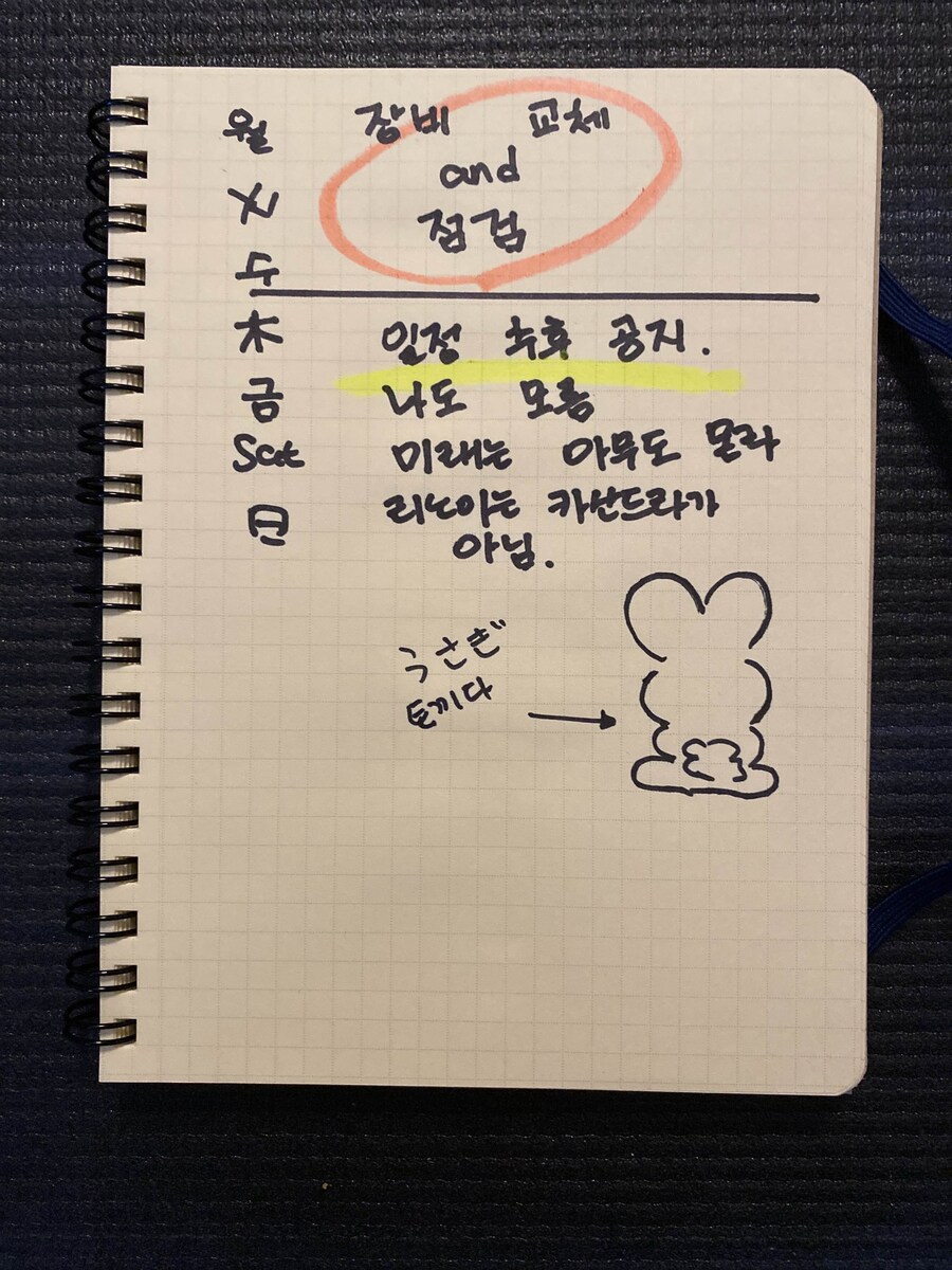 📋 2025년 6월 리노아 (25.06.09~06.15)_1.jpg