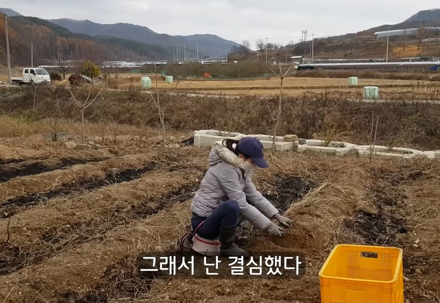휴식을 위해 '귀촌'을 한 사람들이 깨닫게 되는 현실_12.jpg