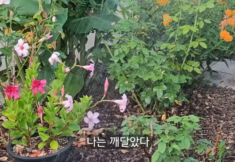 휴식을 위해 '귀촌'을 한 사람들이 깨닫게 되는 현실_16.jpg