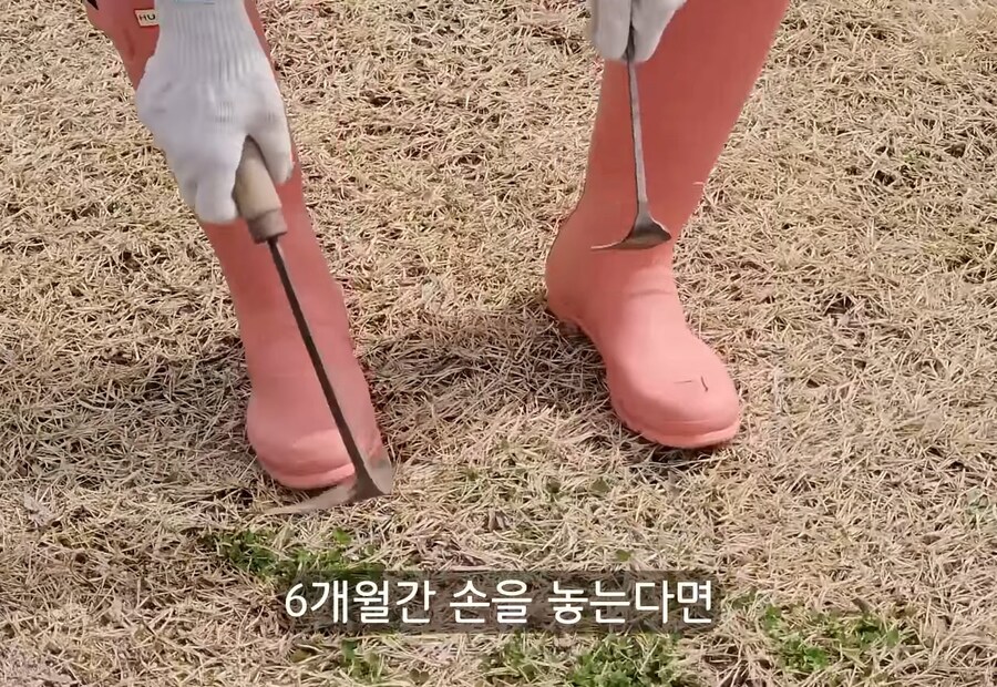휴식을 위해 '귀촌'을 한 사람들이 깨닫게 되는 현실_20.jpg