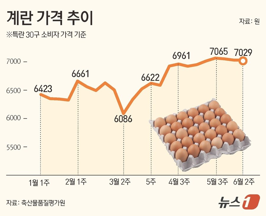 [그래픽] 계란 가격 추이_1.jpg