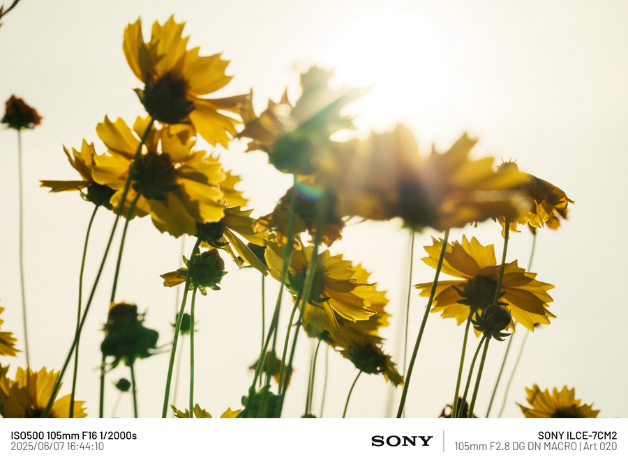 [사진] 남성 갱년기 픽_1.webp