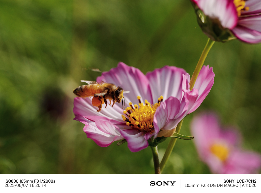 [사진] 남성 갱년기 픽_7.webp