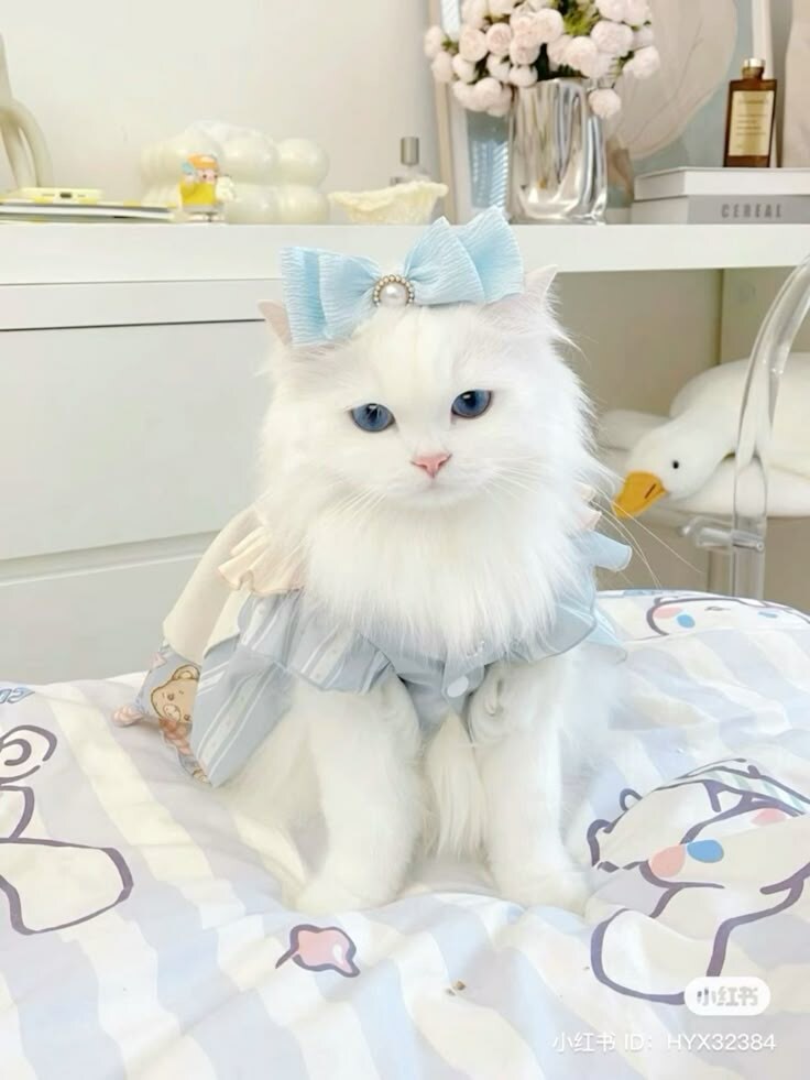 미묘.jpg_8.jpg
