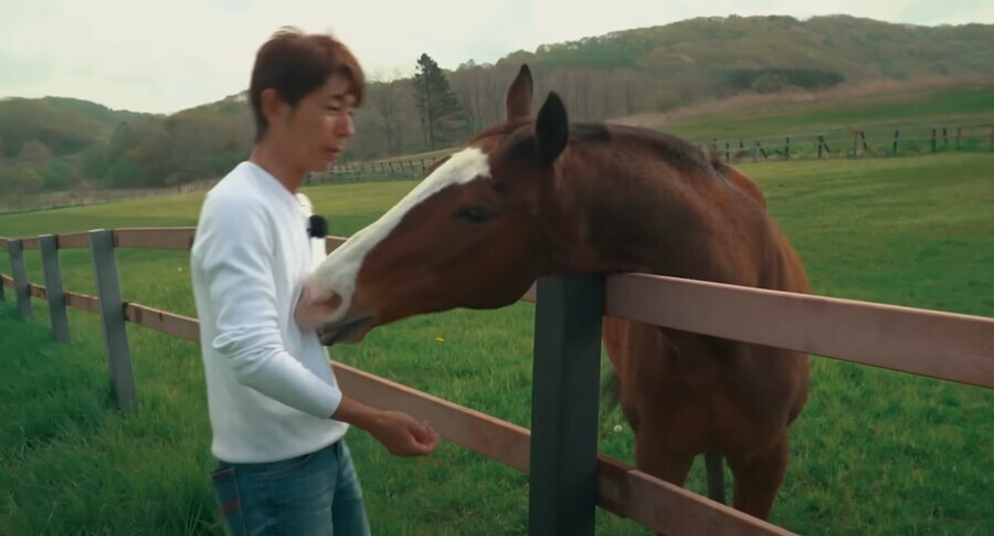 말의 똑똑함을 알 수 있는 유명한 일화_10.jpg