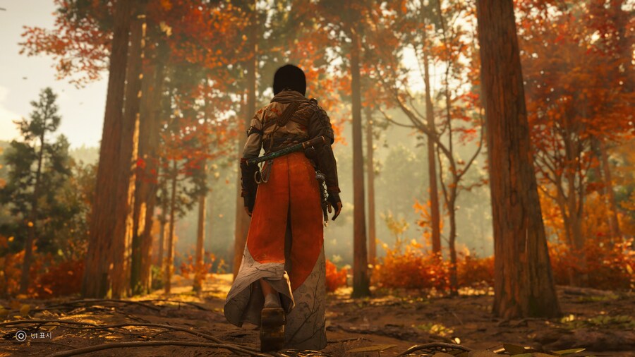 Assassin's Creed® Shadows_3.jpg