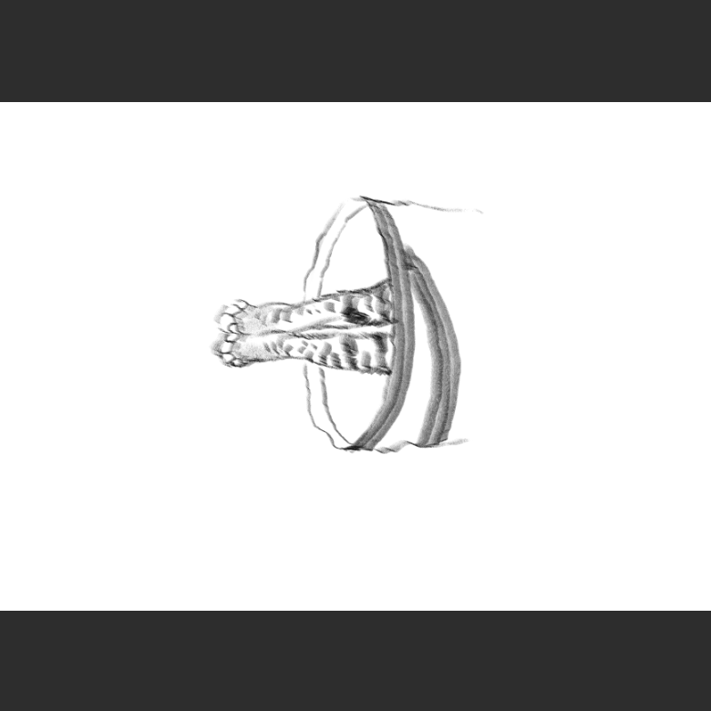 우리집 고양이그림 보고가셈_7.png