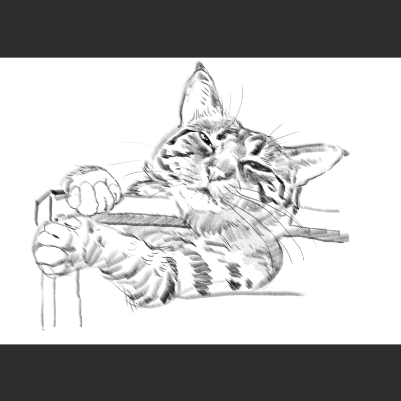 우리집 고양이그림 보고가셈_11.png