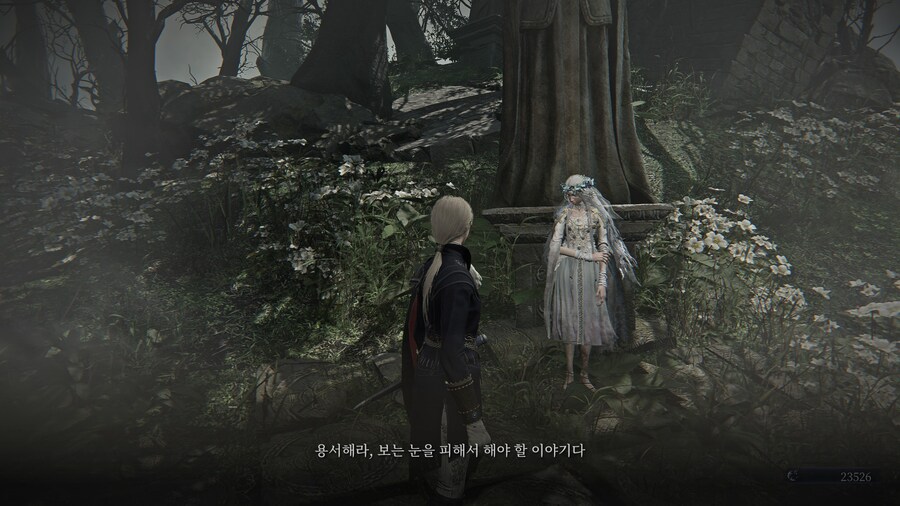 (엘든링) 엘밤통 캐릭터 스토리 - 레이디 편_25.jpg
