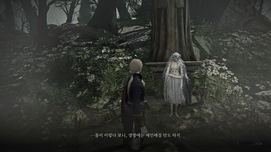 (엘든링) 엘밤통 캐릭터 스토리 - 레이디 편_29.jpg