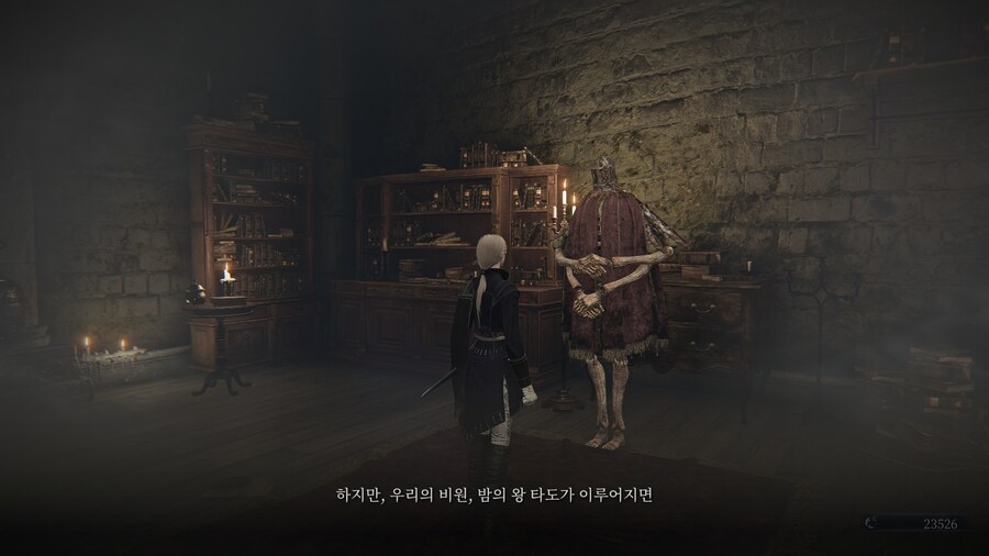 (엘든링) 엘밤통 캐릭터 스토리 - 레이디 편_33.jpg