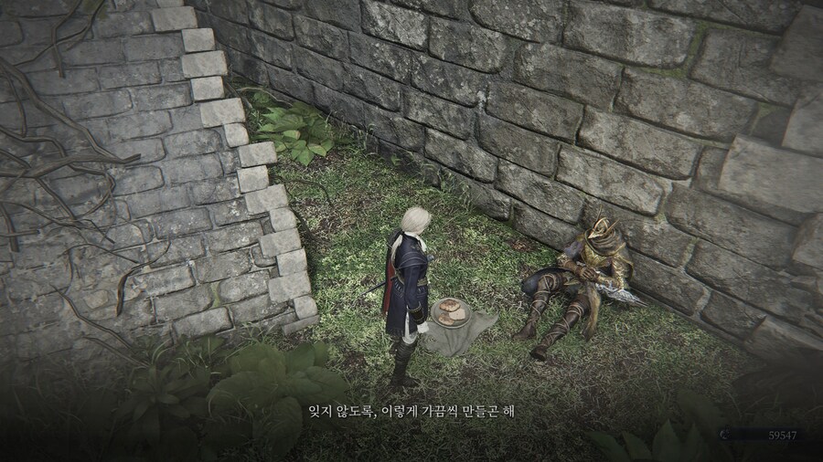 (엘든링) 엘밤통 캐릭터 스토리 - 레이디 편_50.jpg