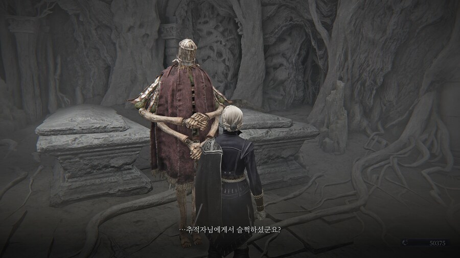 (엘든링) 엘밤통 캐릭터 스토리 - 레이디 편_99.jpg